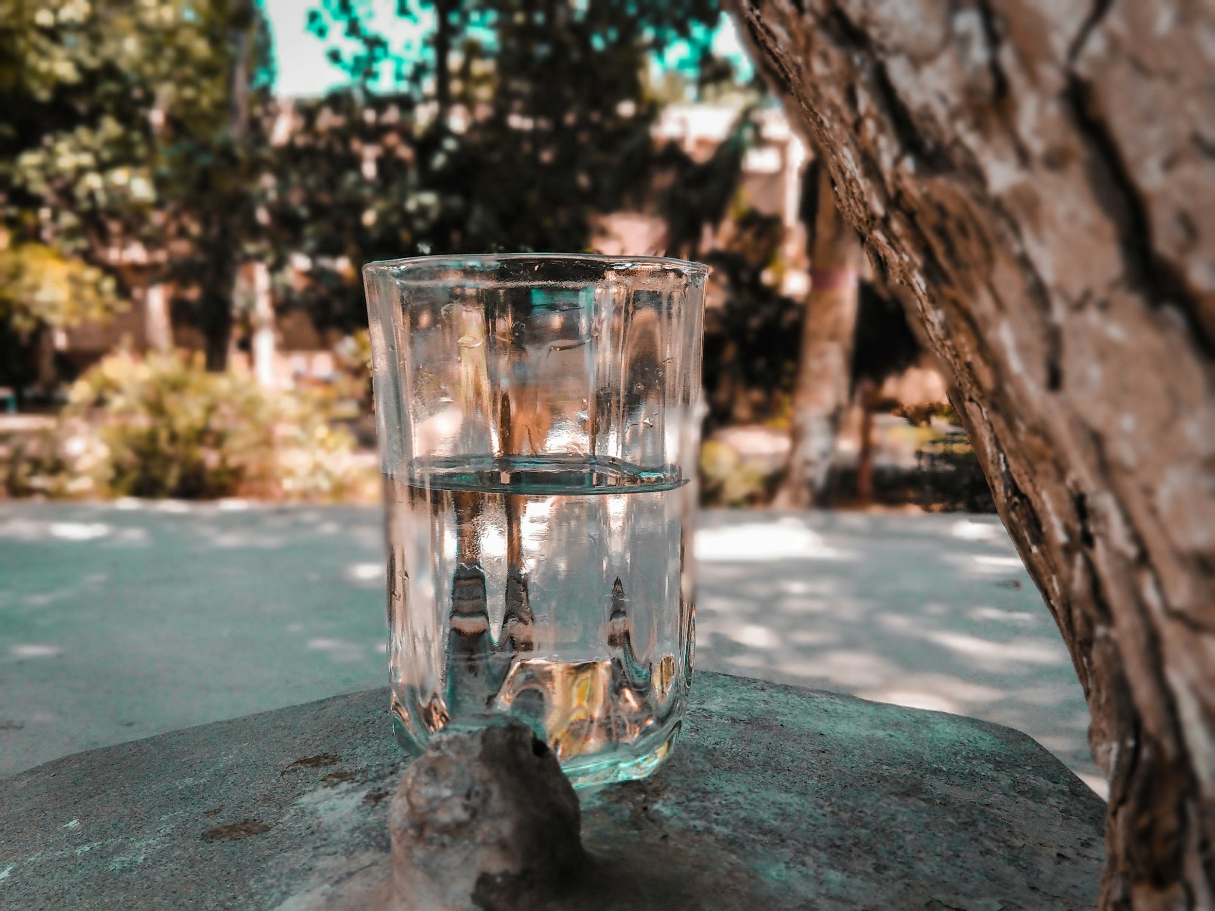 Mondwasser herstellen und nutzen