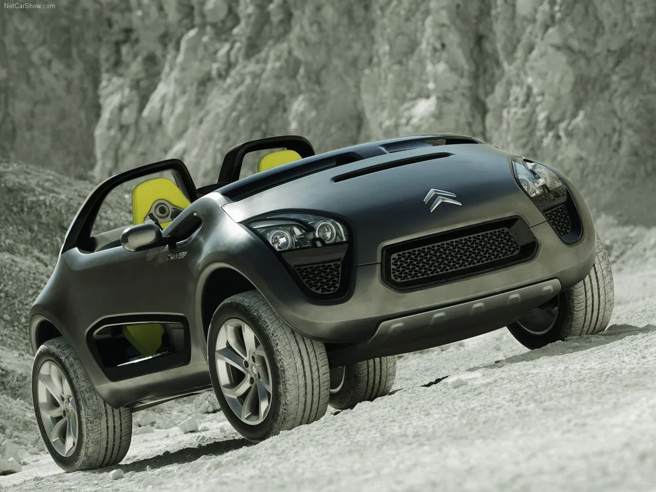 LEIGHANNE_EARLEY_AWARDWWINNING_DESIGNS_CITROEN (16).webp