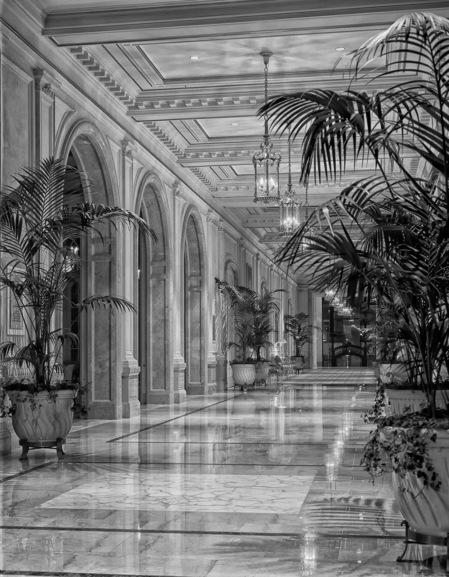 ARAYA Hospitality - Contact