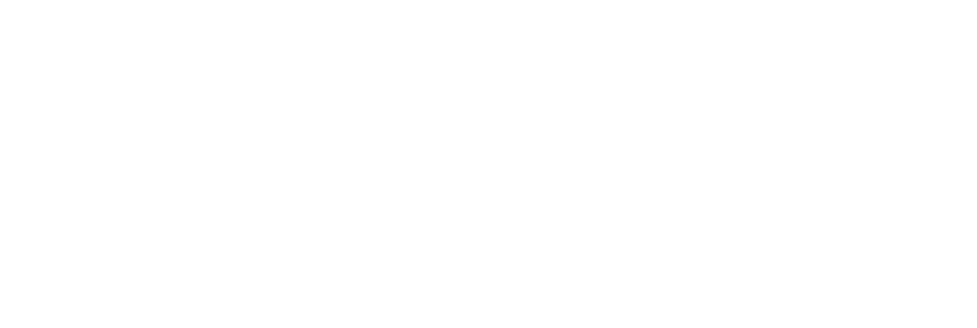 Dame Essence Côtes de Provence Rosé
