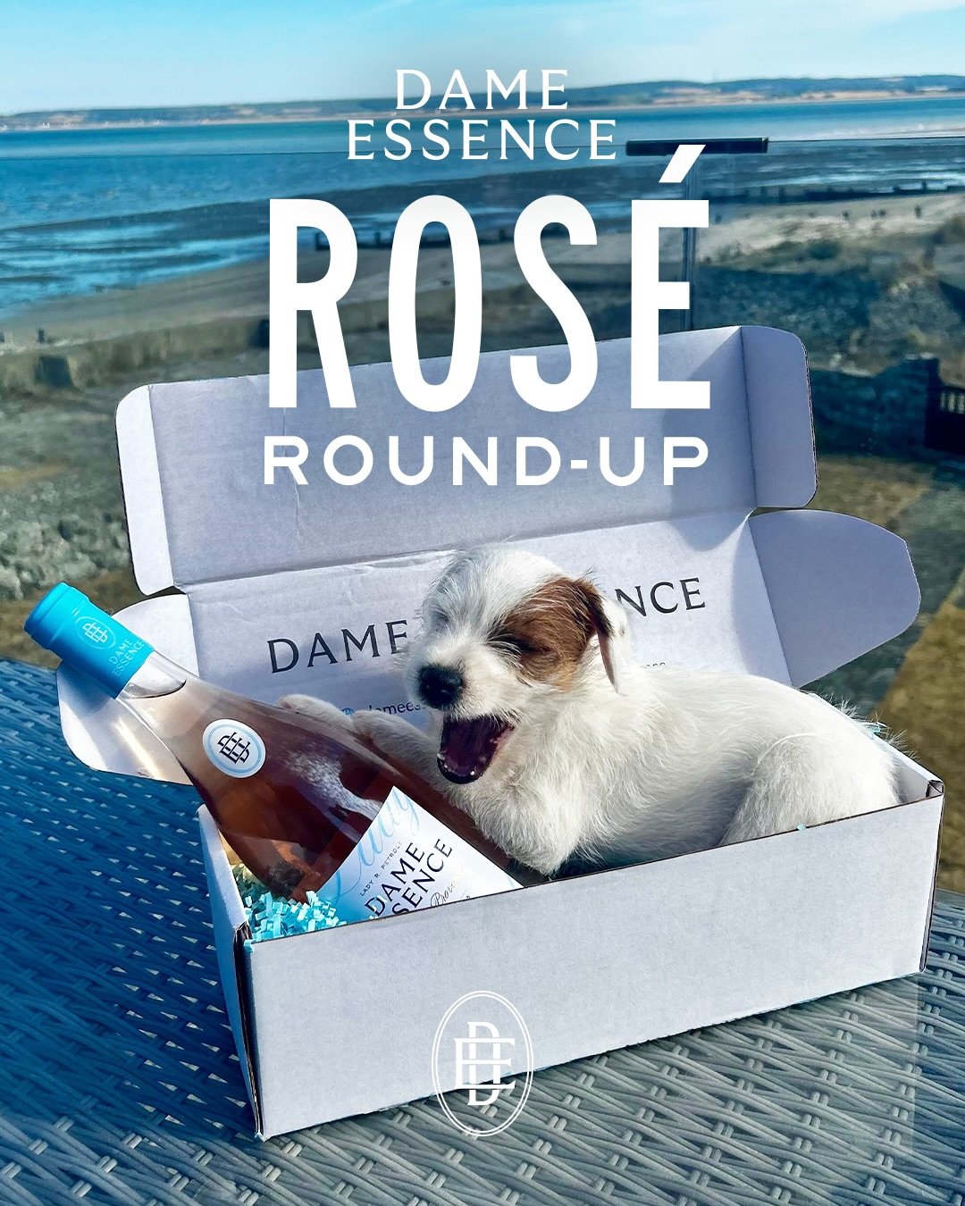 Ros&eacute; Roundup: Lady Rose is thrilled and heartened to see so many of you enjoying Dame Essence in the wild over the last few weeks. Keep keep sending your photos, and kind words in. &Agrave; votre sant&eacute;! 🩵 #dameessence #rose
