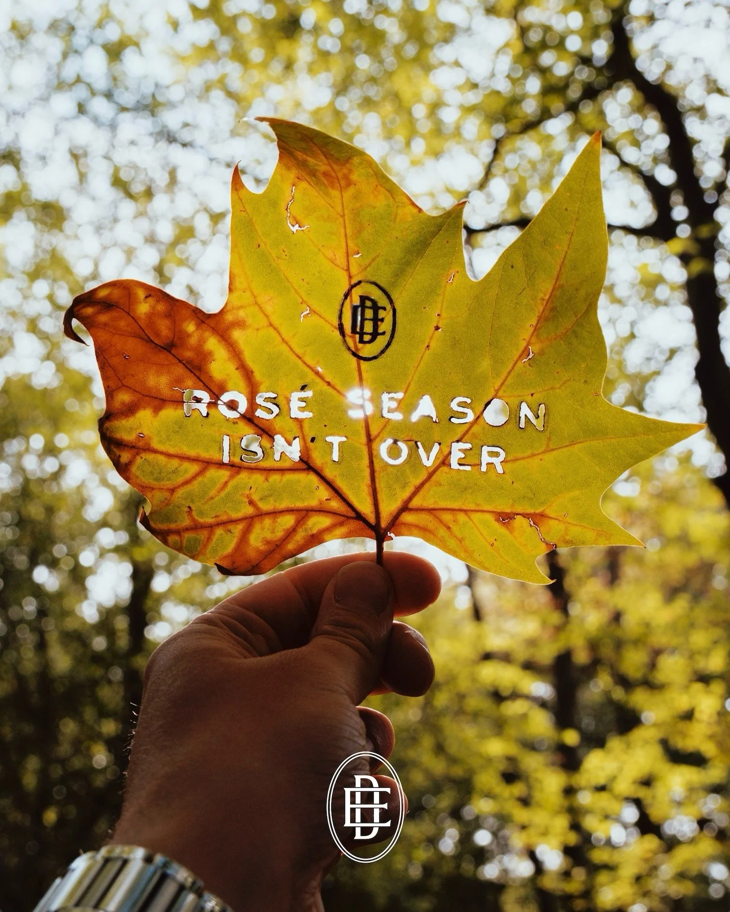 Just because the leaves are changing colour; doesn&rsquo;t mean the colour of your wine has to. 🍂🍁 And if it gets too chilly, The Ch&acirc;teau is always available for a last minute escape. #dameessence