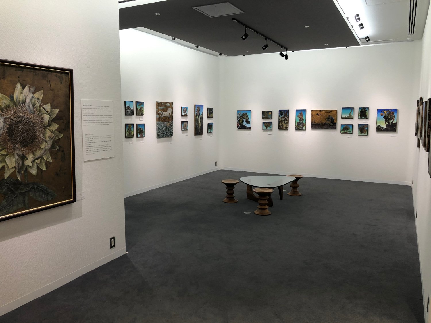 Fairyland-Osaka-2020-Adam-Cooley-gallery-1.jpeg