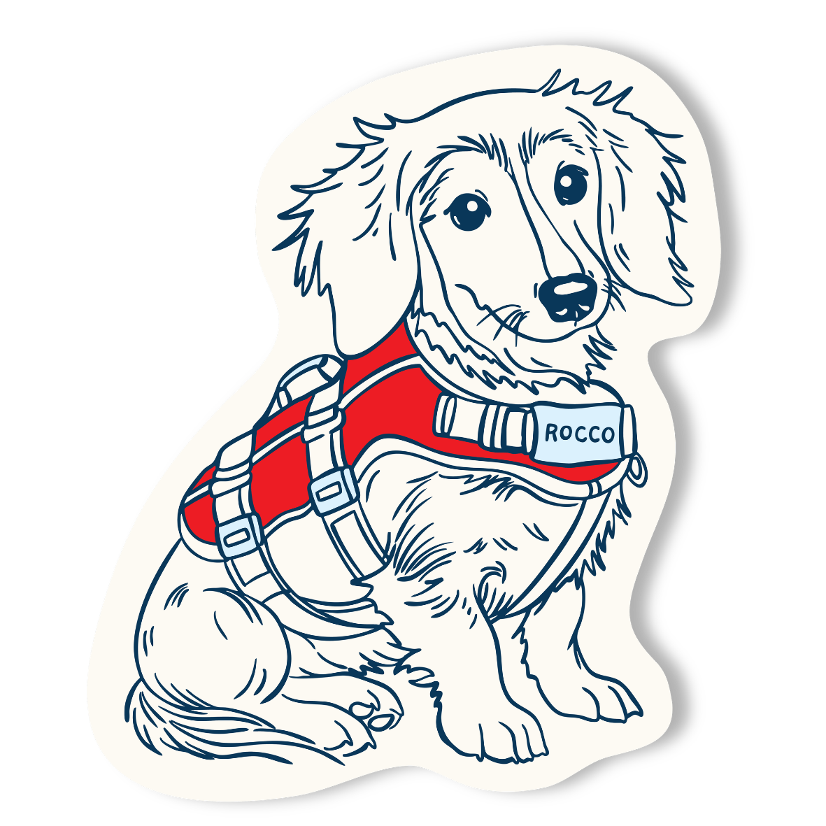 Line drawing of a sitting dachshund wearing a red harness with a label that reads 'ROCCO' on the collar.