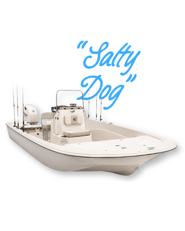 A white fishing boat equipped with multiple fishing rods and an outboard motor, featuring the text 'YETI FISH' in blue above it.