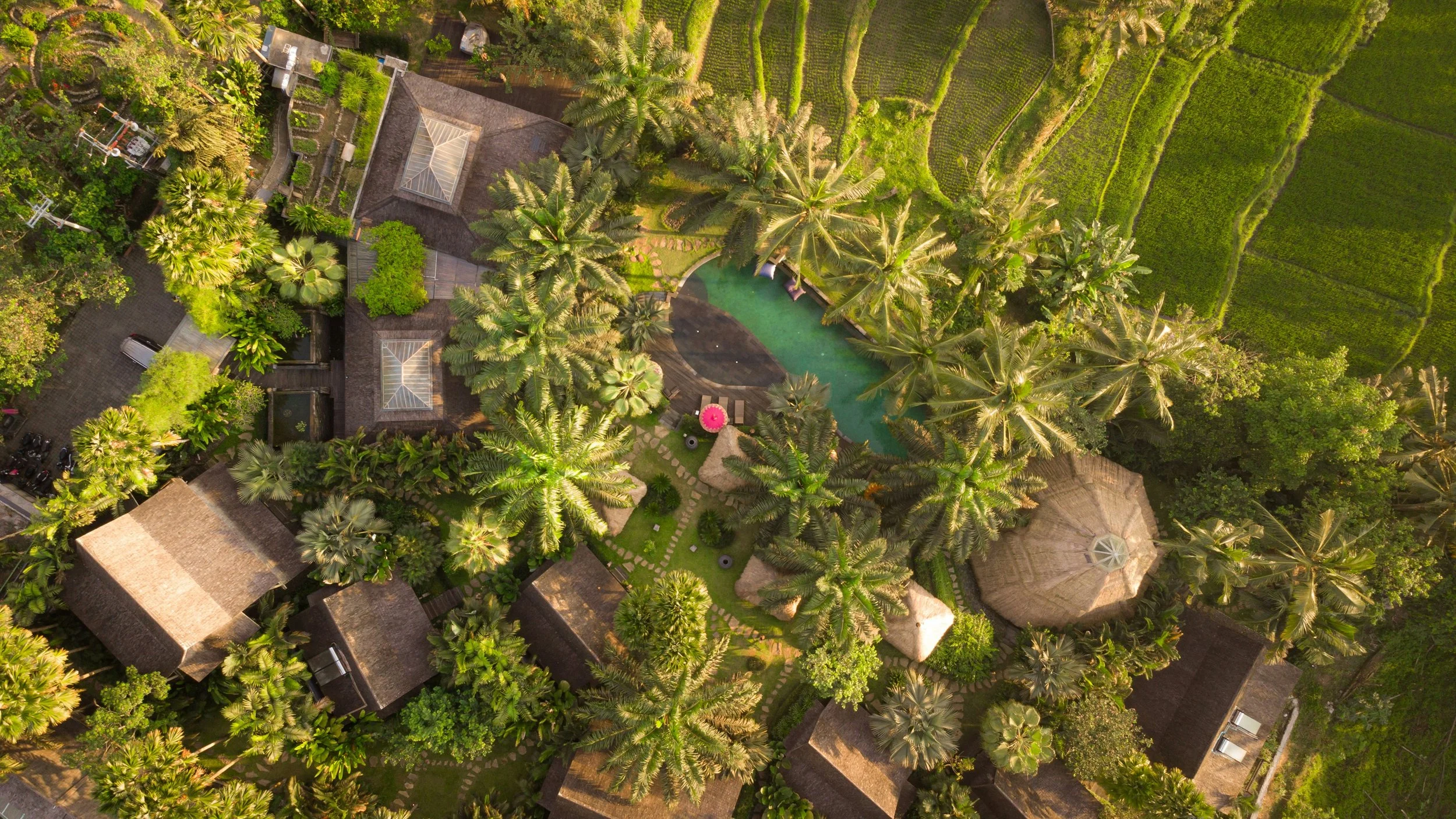 Aerial view of a lush tropical resort with several thatched-roof buildings, palm trees, a swimming pool, and surrounding green fields.