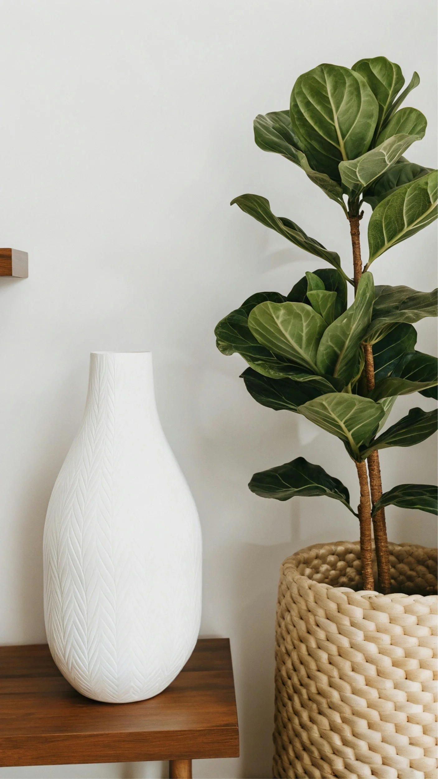 A white, textured, elongated ceramic vase, a wooden table, and a potted fiddle leaf fig plant with large green leaves in a woven basket.