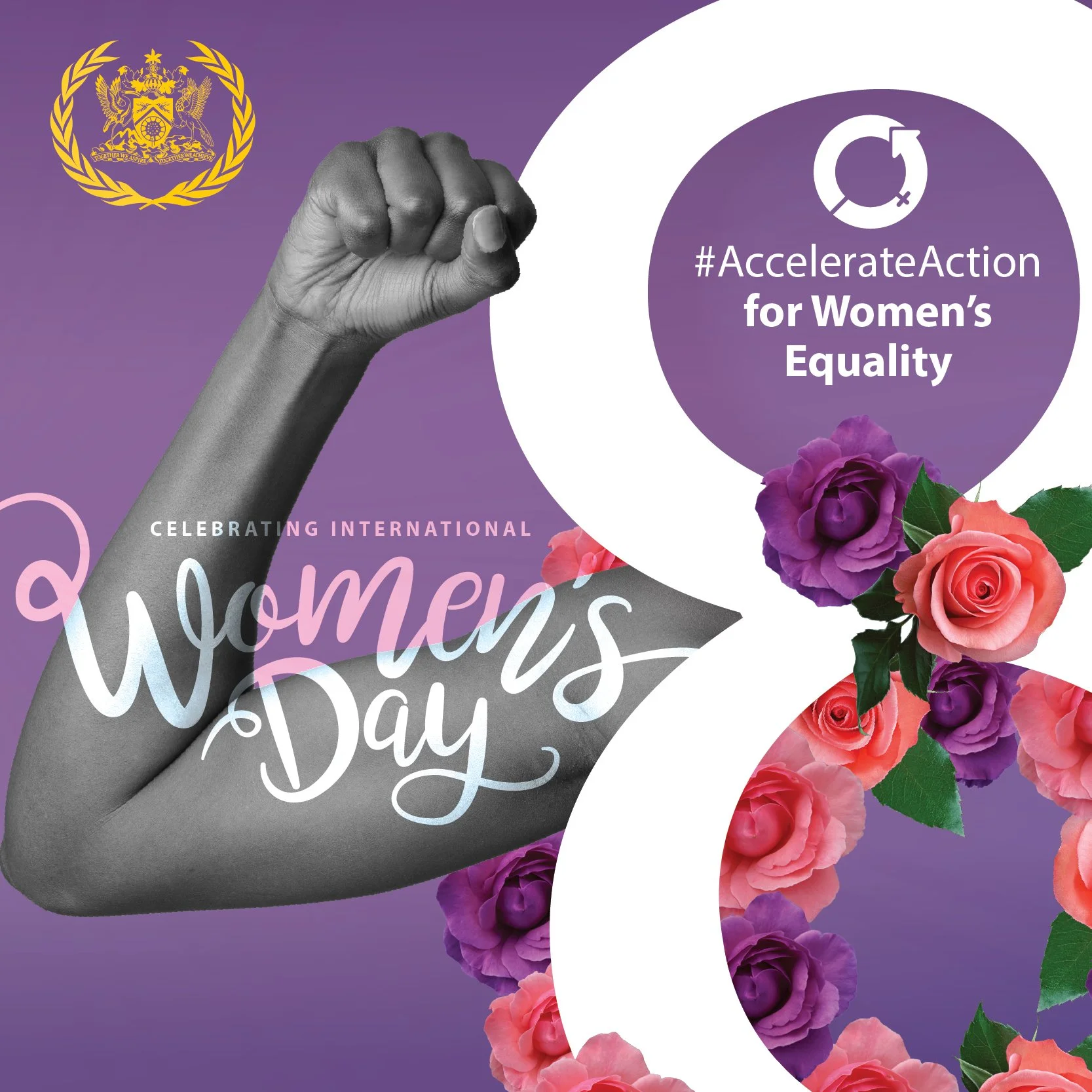 IWD President-02.jpg
