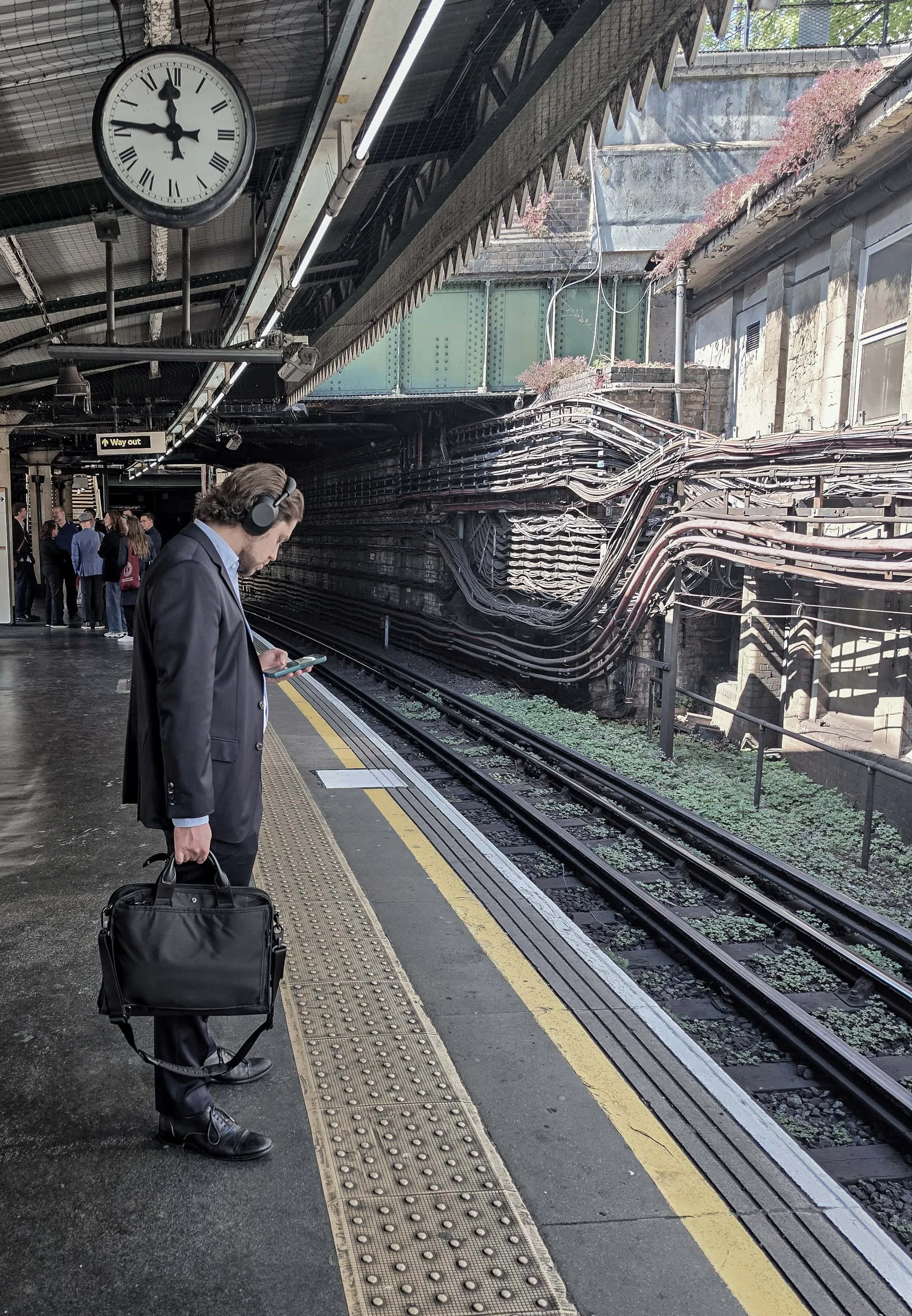 20260427_114650.jpg