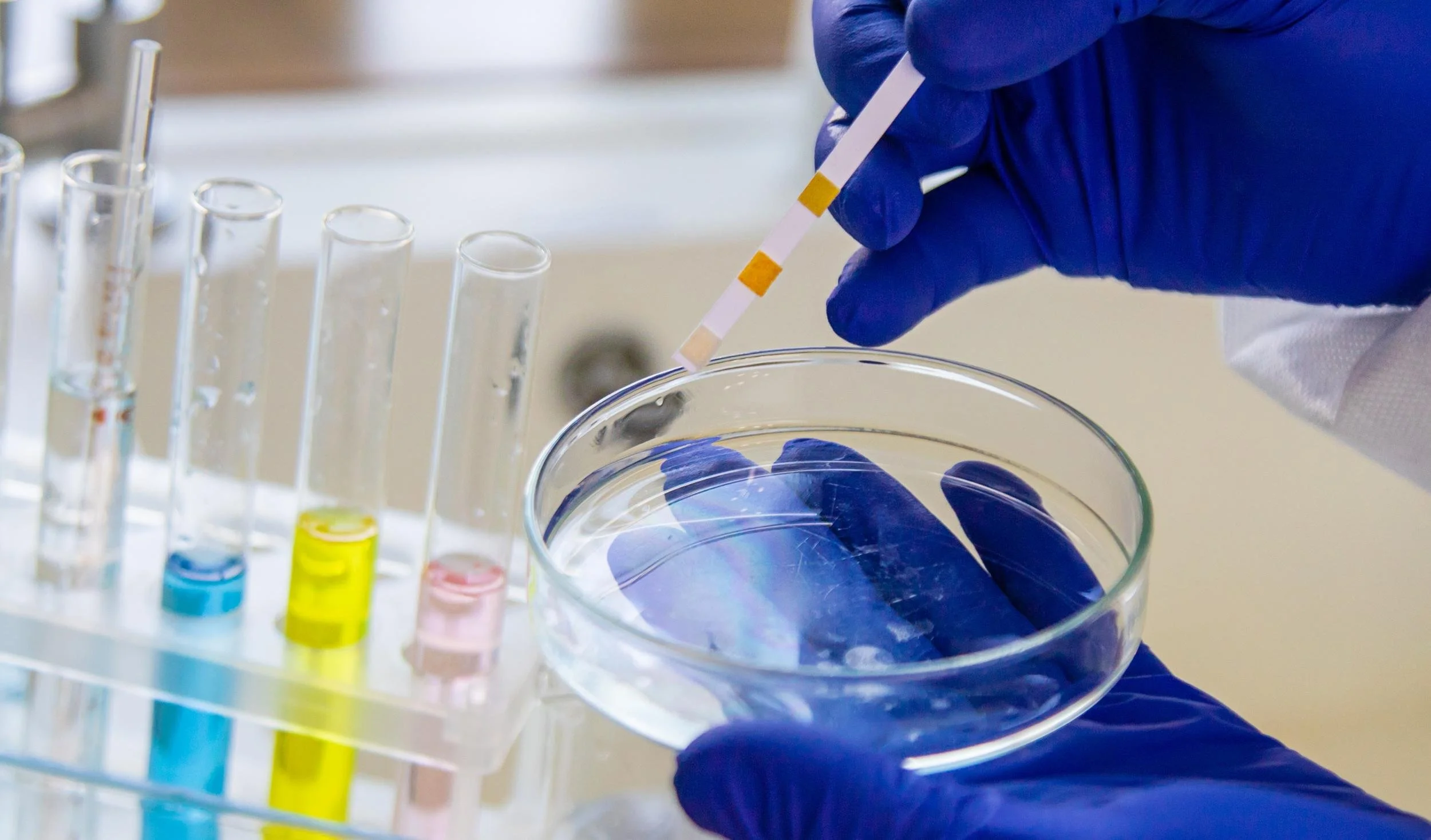 A scientist wearing blue gloves holding a striped swab and dipping it into a petri dish with blue liquid. In the background, test tubes with colorful liquids are arranged in a rack.