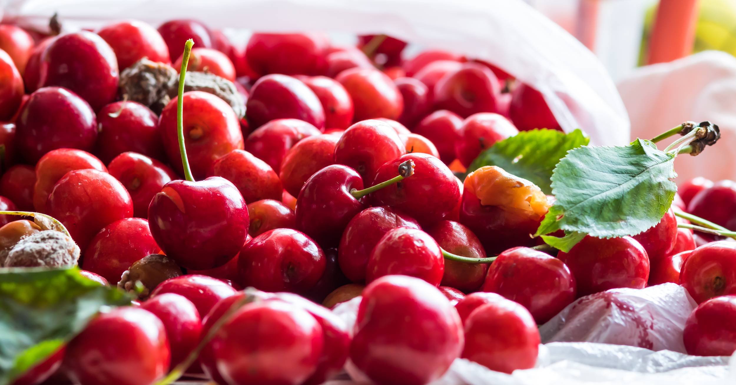 A large pile of fresh, shiny red cherries with some green leaves.