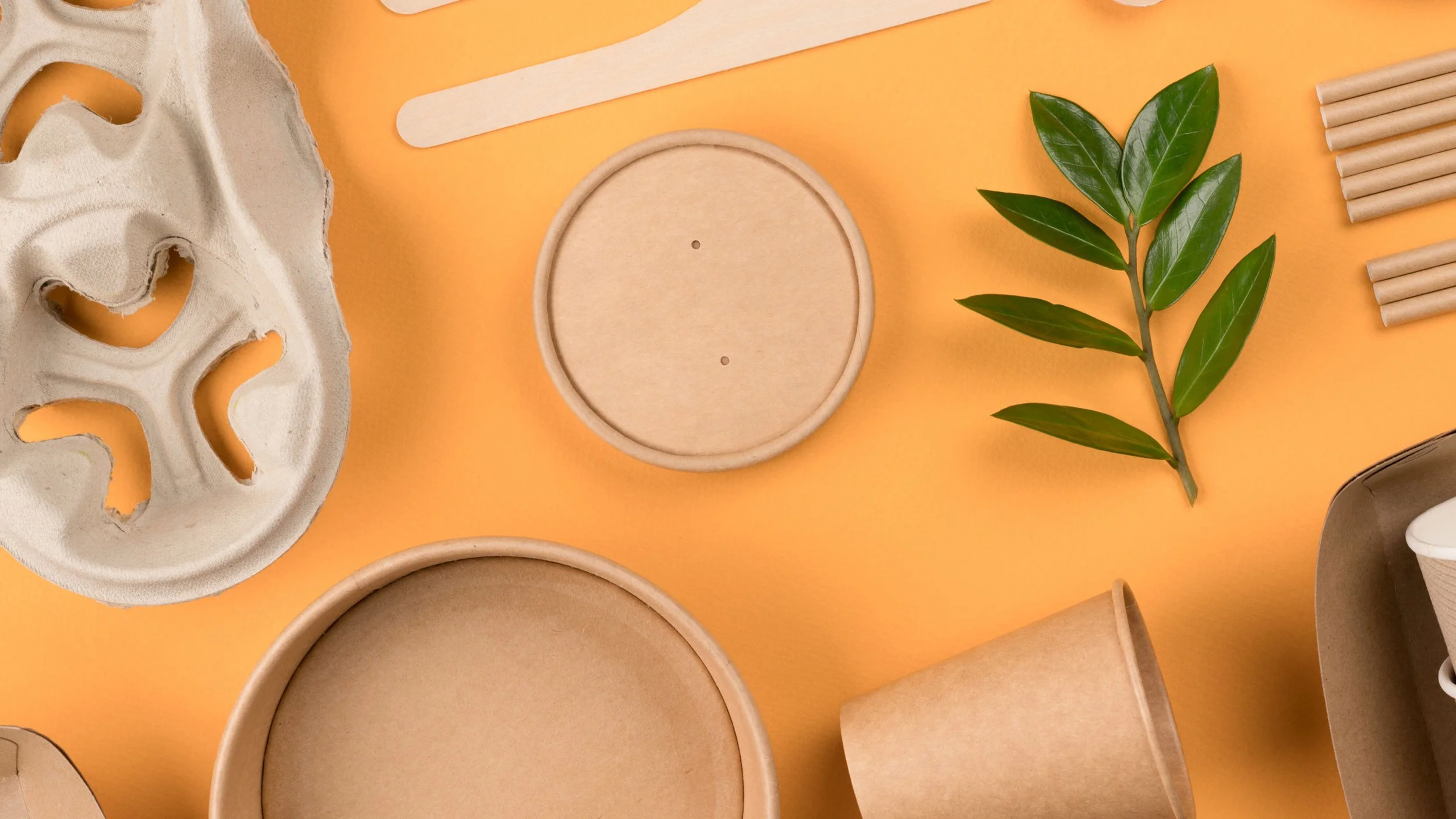 Assorted eco-friendly packaging items including cardboard containers, wooden stir sticks, and a green leafy plant on a peach-colored background.