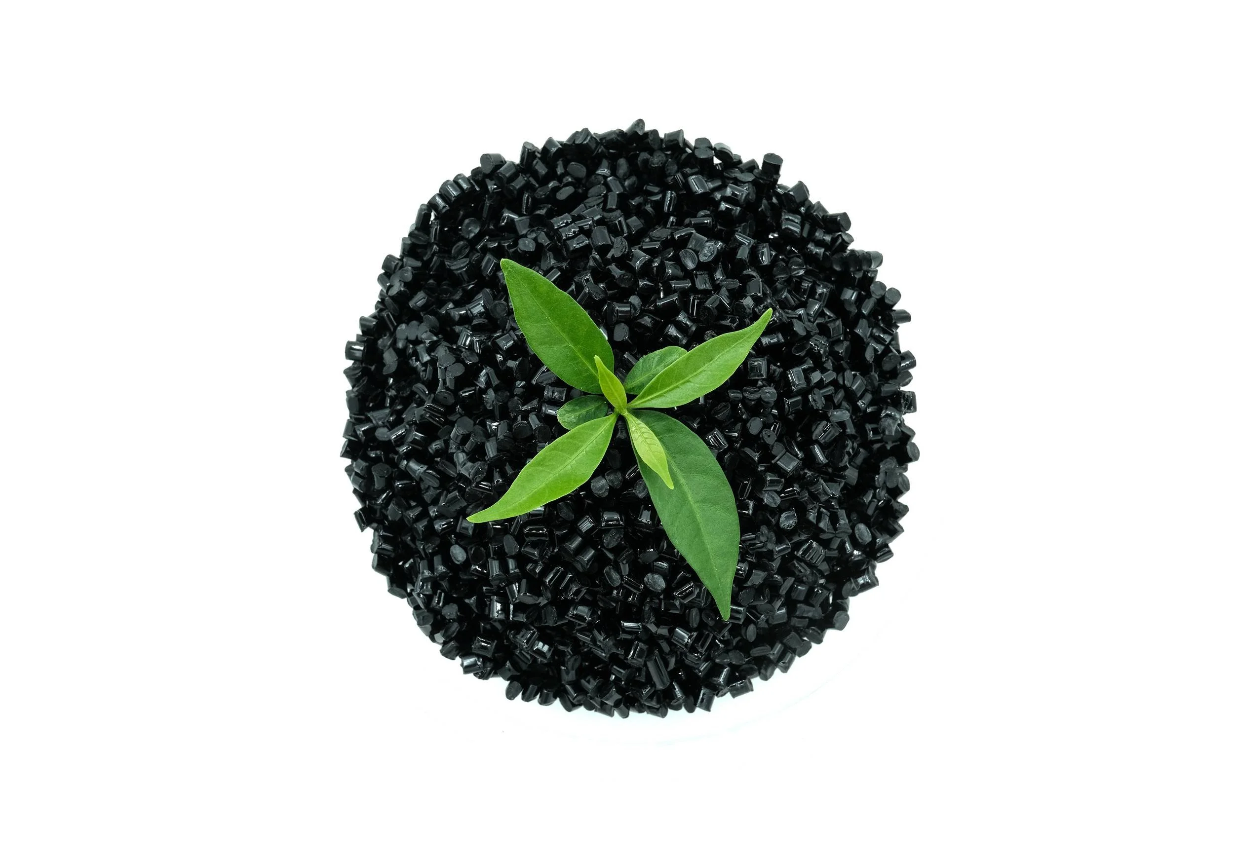 Black plastic pellets with a green plant sprout among them on a white background.