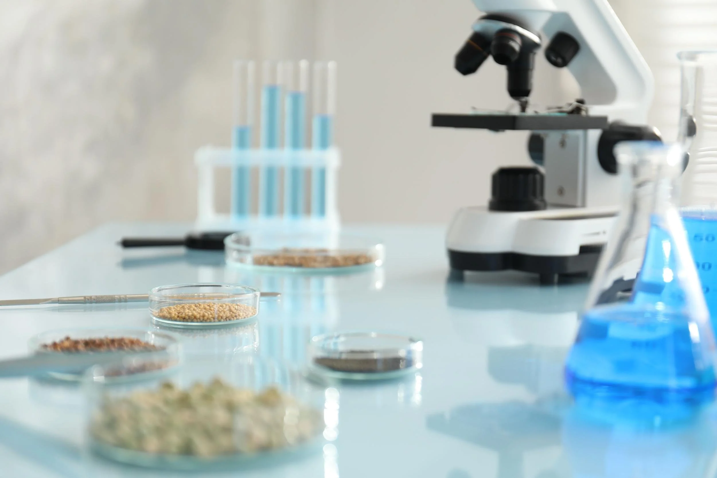 Close-up of a laboratory workspace with petri dishes containing various substances, a microscope, and test tubes with blue liquid in the background.