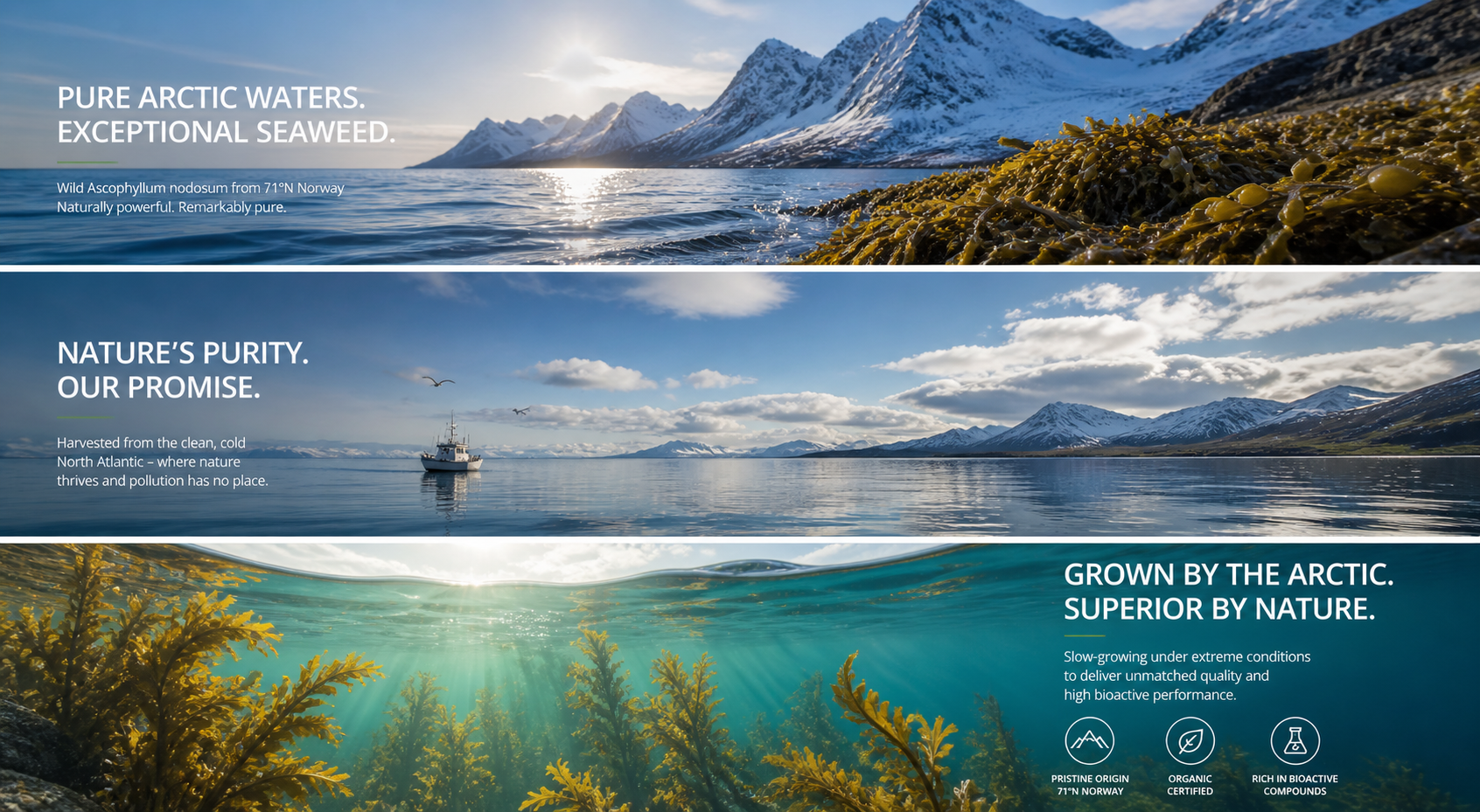 Three panoramic images of Arctic waters, mountains, and underwater seaweed, with promotional text about Arctic waters, seaweed harvesting, and eco-friendly seaweed products.