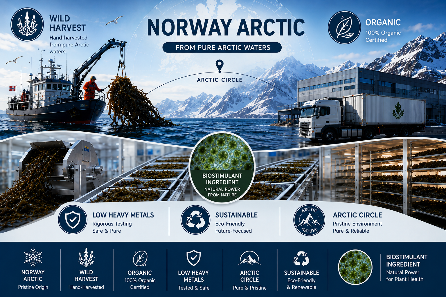 Infographic highlighting Norway Arctic seafood sourcing and processing. Features a ship harvesting seaweed in Arctic waters, a truck near a modern facility, and trays of seaweed in a laboratory setting. Emphasizes wild harvest, organic purity, biostimulant benefits, low heavy metals, and sustainability from the Arctic Circle.