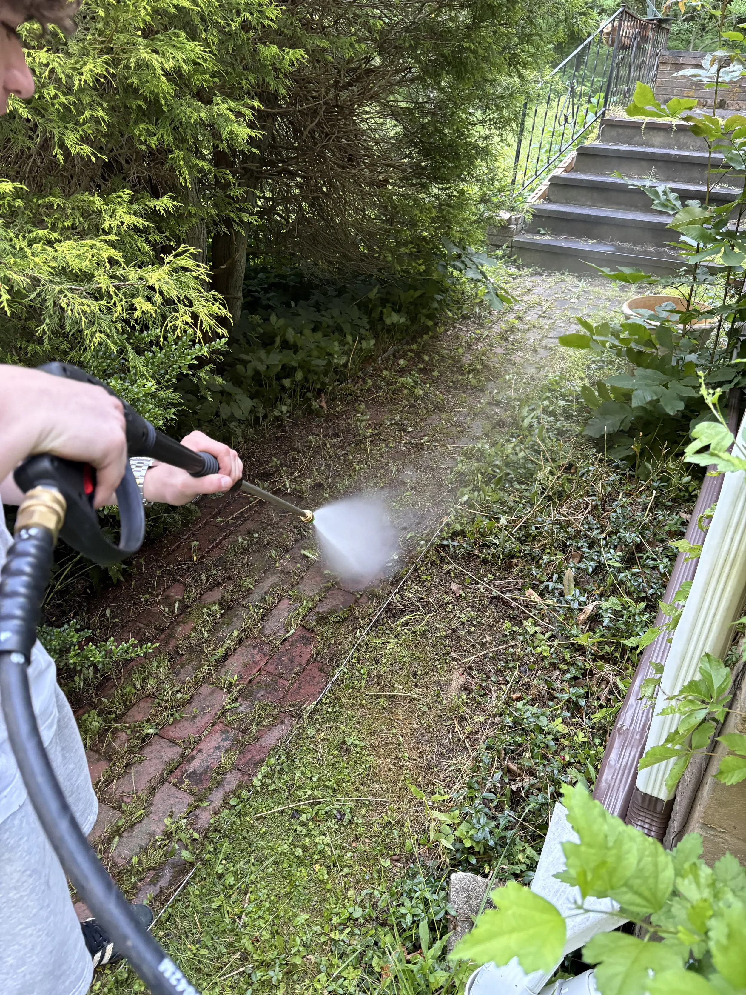 Person operating a pressure washer on a garden pathway while wearing a wristwatch, with lush green foliage, a staircase with a railing, and garden pots in the background.