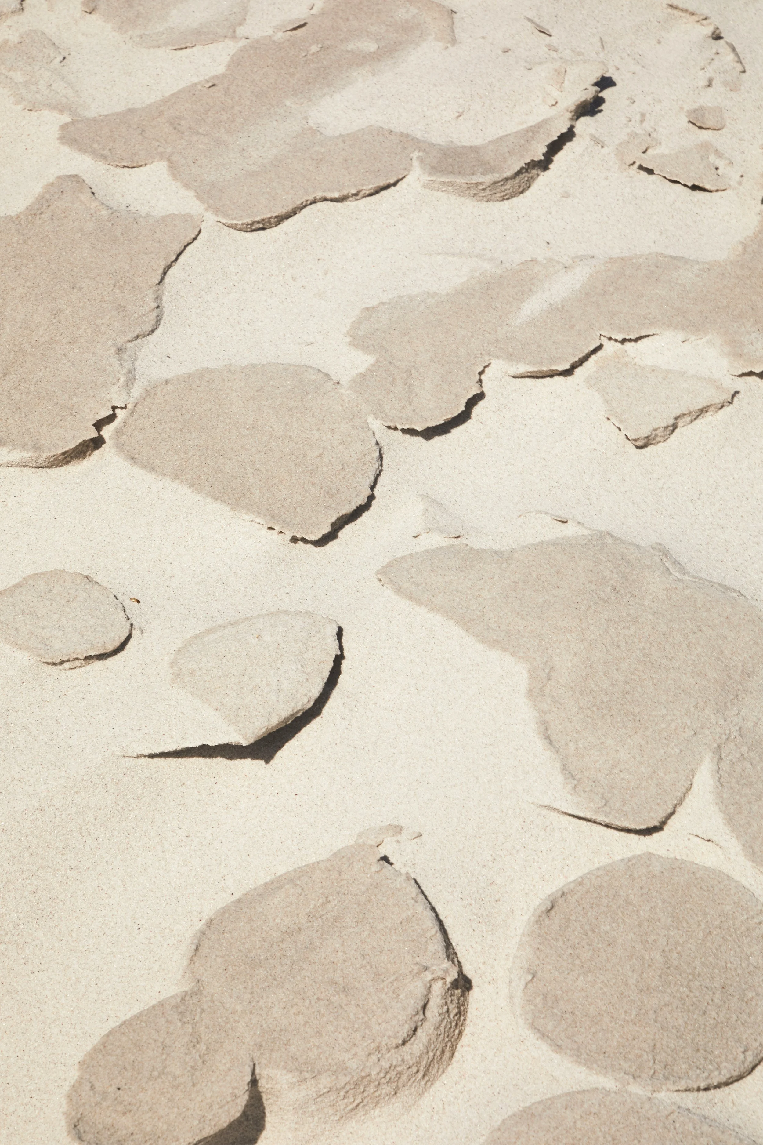 Close-up of cracked and broken pieces of rock on a sandy surface.