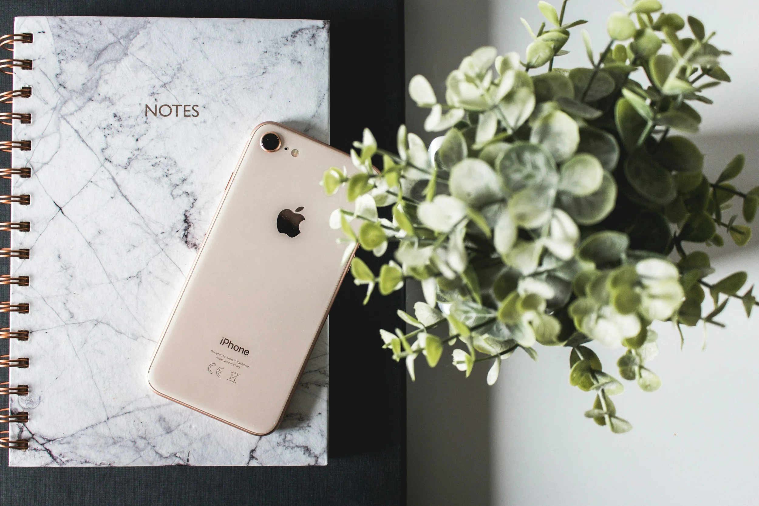 unsplash-image-x6S9CjQI3to.jpg