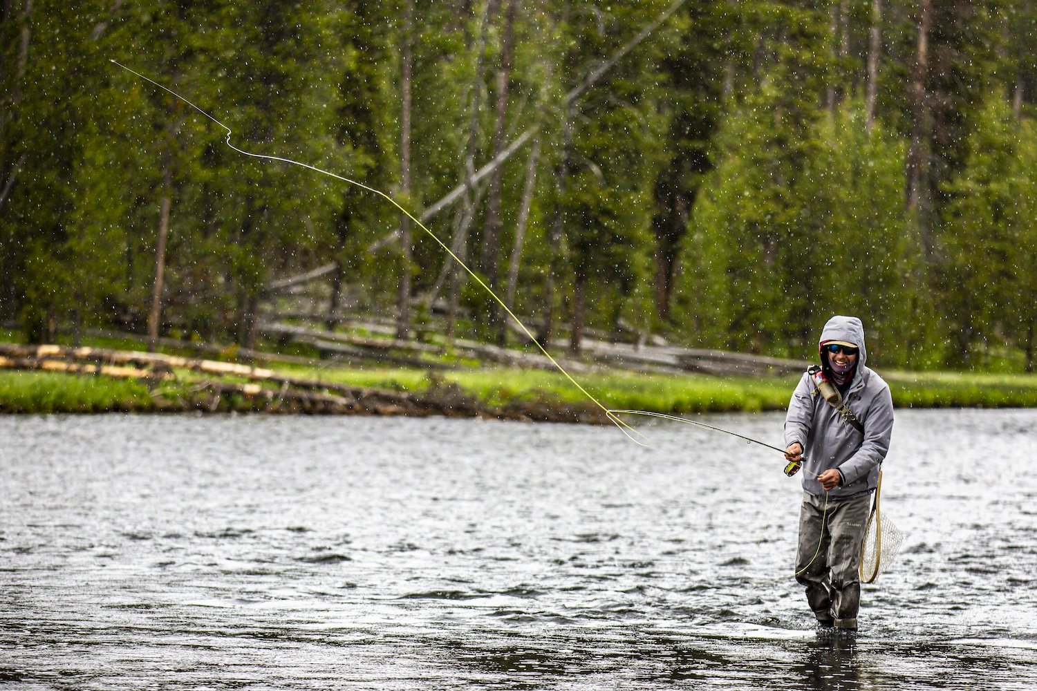 Person wearing gray rain jacket and sunglasses fishing in a river with green trees in the background. Yellowstone National Park, Wyoming, USA