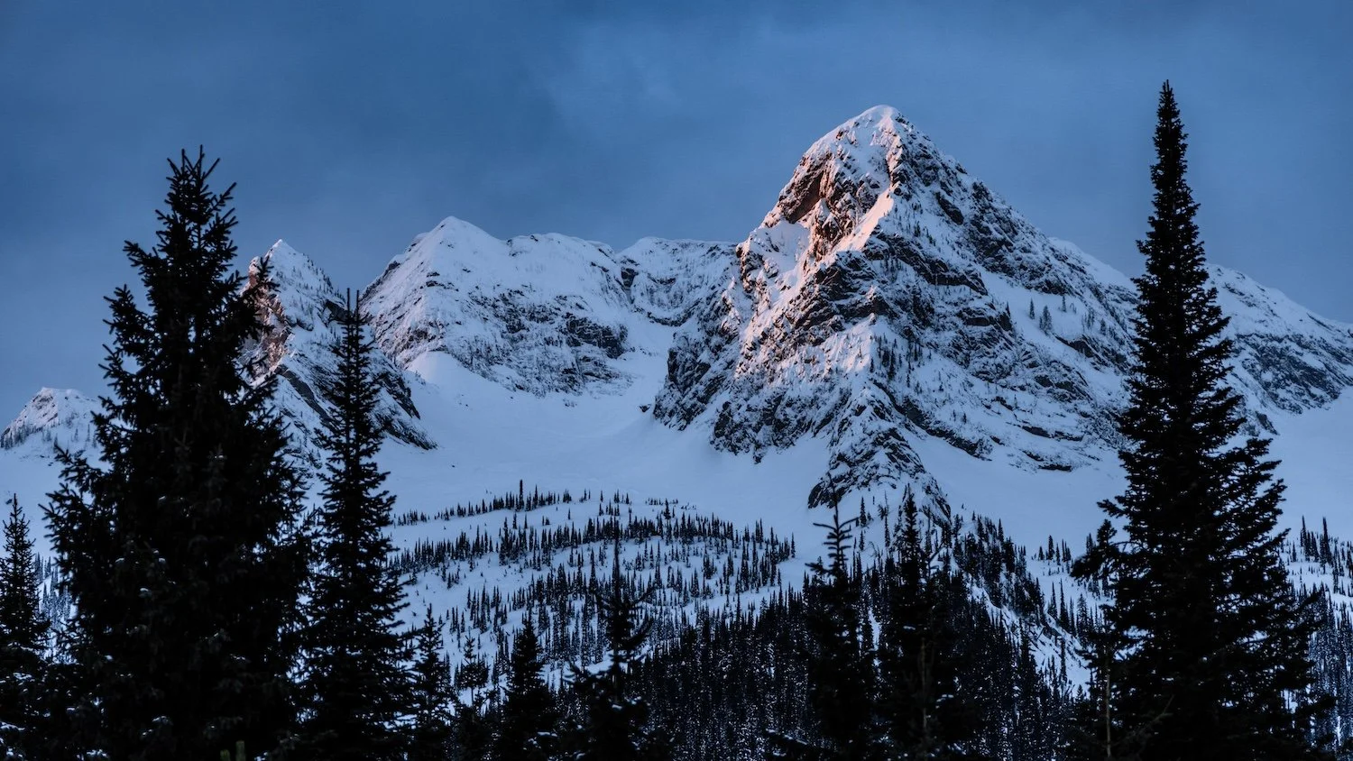 Snow-covered mountain peaks with a twilight sky, framed by tall evergreen trees. Island Lake Lodge. Fernie, British Columbia, Canada