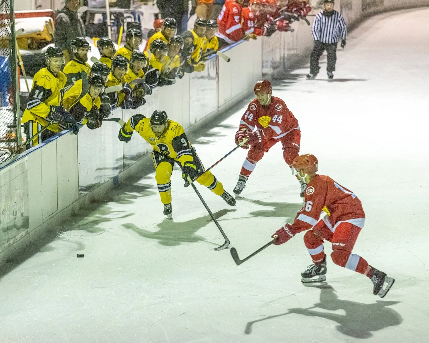 Ice hockey game with players in yellow and red jerseys competing for the puck near the boards. Yellow team players are on the ice and the red team players are in front of the bench, some leaning over the boards, with an official in the background.