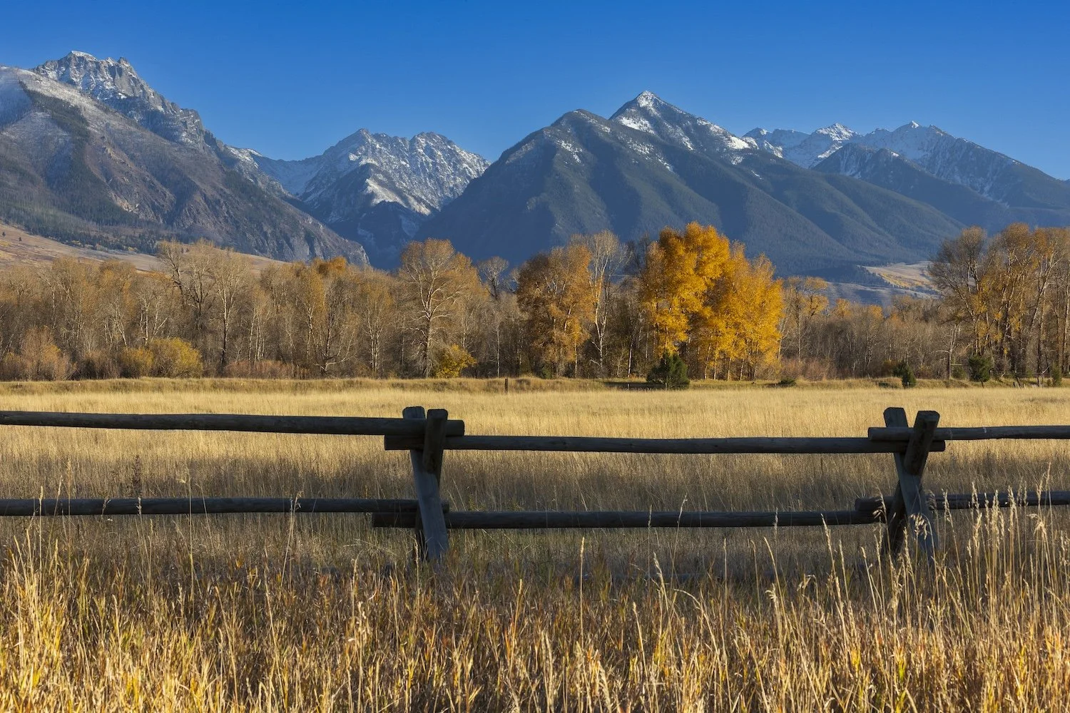 Scenic landscape featuring a wooden fence in the foreground, golden grass, leafless trees with some yellow foliage, and snow-capped mountains under a clear blue sky.