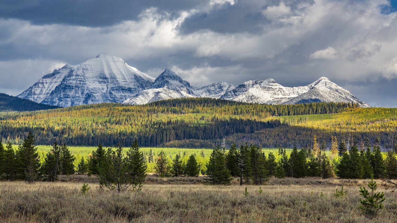 Scenic landscape of snow-capped mountains behind a forested area with green trees and a grassy field in the foreground. Glacier National Park, Montana USA