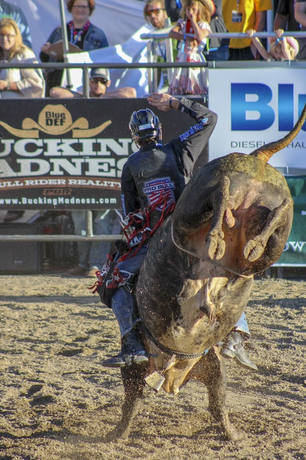 A rodeo rider on a bucking bull, wearing a black helmet and protective gear, with spectators watching behind a barrier. Pro Bull Rider, PBR, Big Sky, Montana, USA