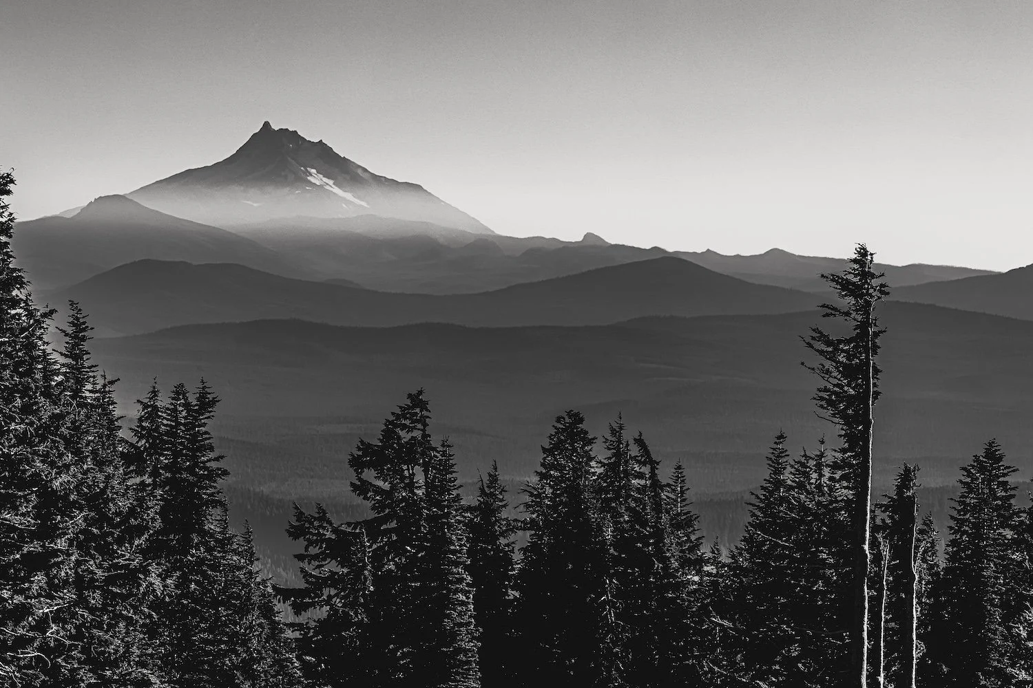 Black and white photo of a mountain landscape with layered hills and pine trees in the foreground.