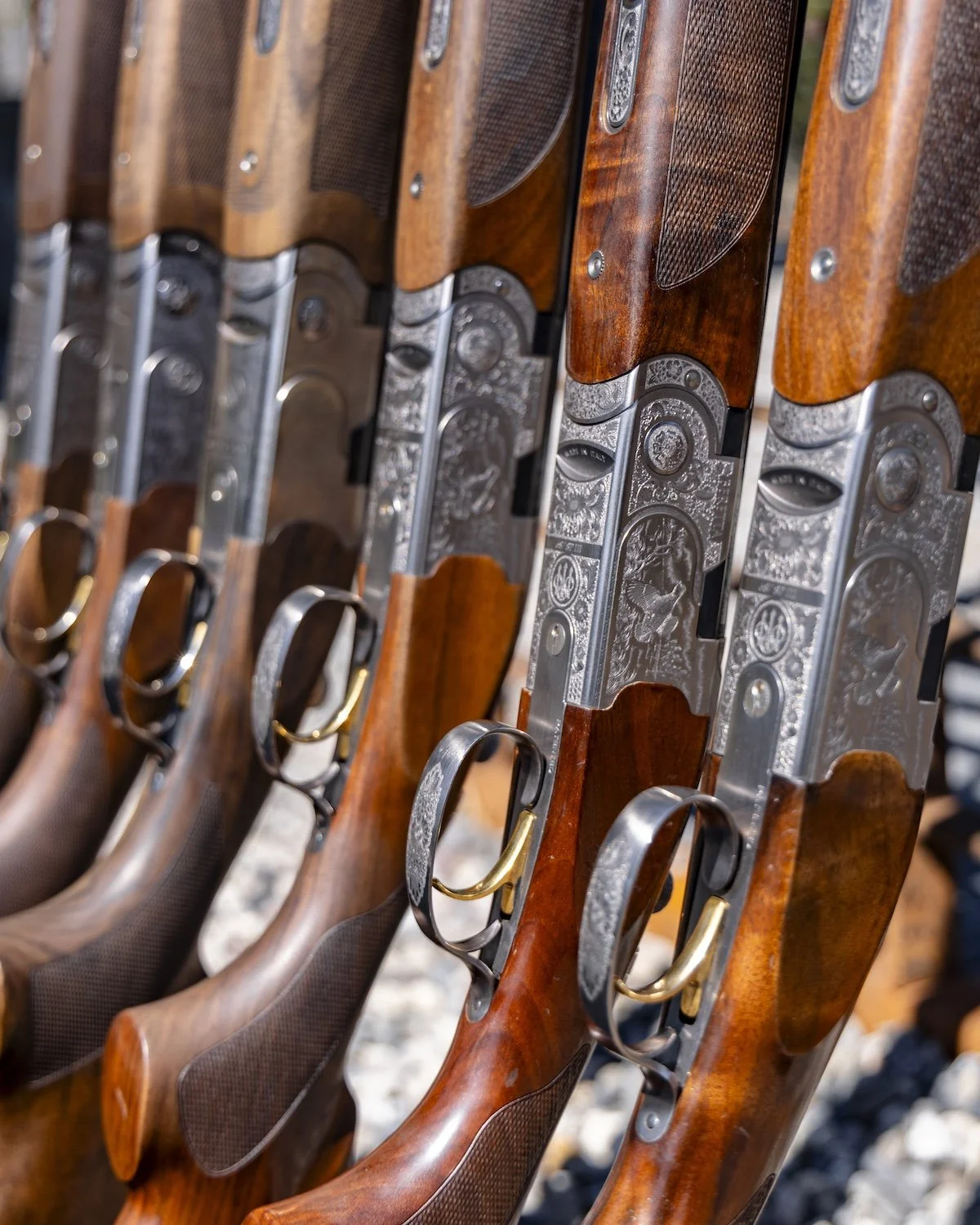 Close-up of several rifles with engraved silver triggers and wooden stocks lined up outdoors.
