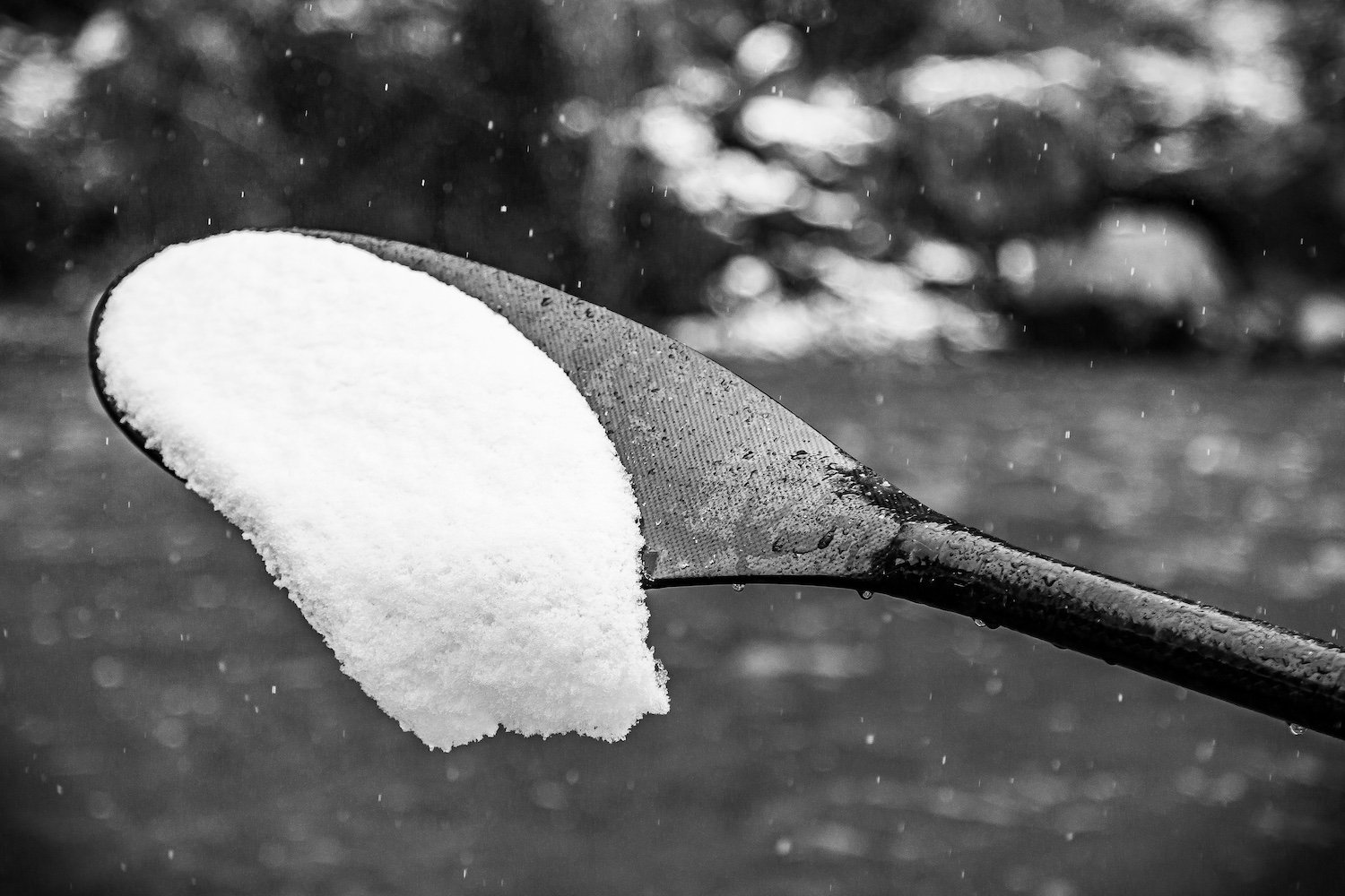 A close-up black-and-white photo of a spoon with snow on it, held over a blurred outdoor background. Smith River, Montana, USA