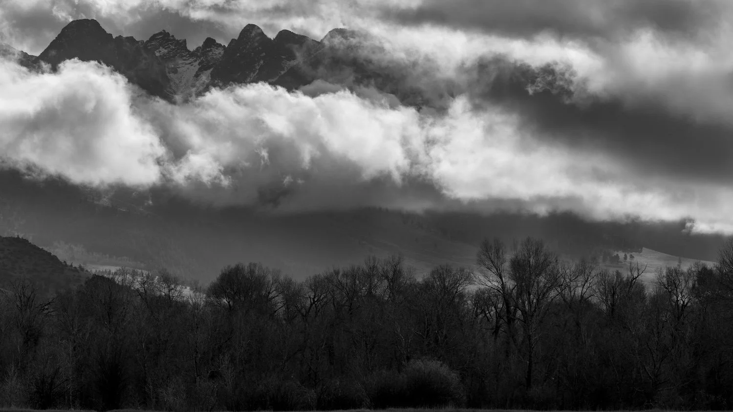 Black and white landscape photograph of mountain peaks shrouded in clouds, with leafless trees in the foreground. Livingston, Montana