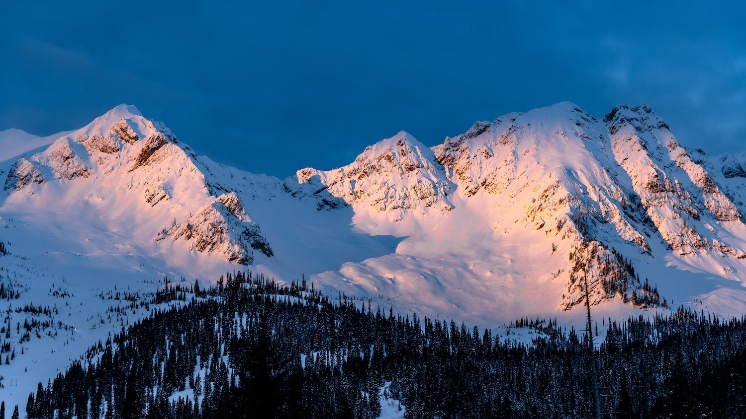 Snow-covered mountain peaks during sunset or sunrise, with dark pine forest in the foreground and a blue sky above. Island Lake Lodge, Fernie, British Columbia, Canada