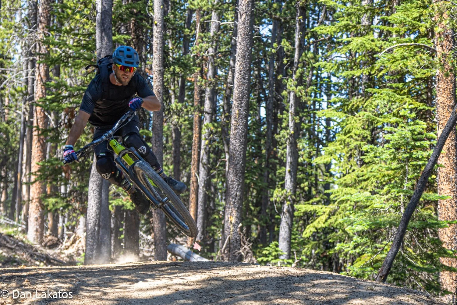 A mountain biker wearing a blue helmet, black shirt, and gloves riding downhill on a dirt trail through a forest with tall green pine trees. Big Sky, Montana, USA