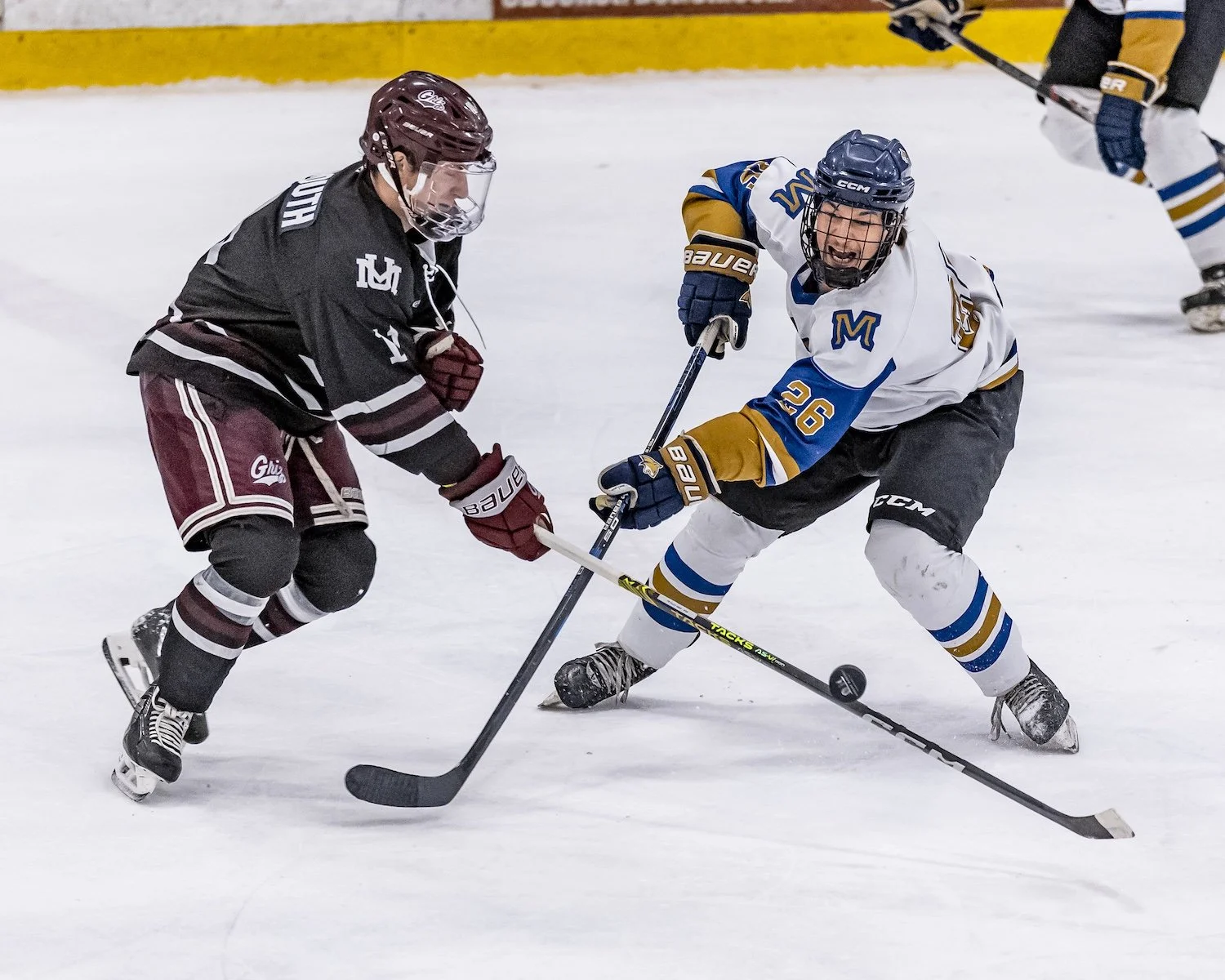 Two ice hockey players battling for control of the puck during a game, one wearing a black and maroon uniform and the other in a white and blue uniform.