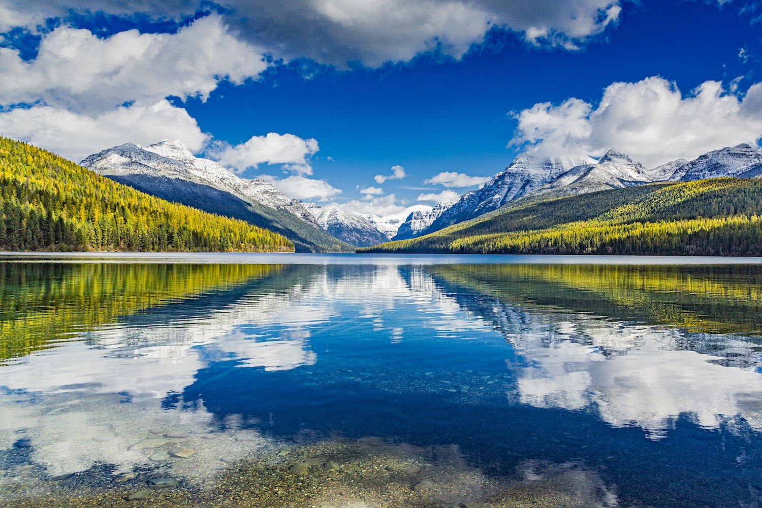 A scenic landscape of a calm lake reflecting green and snow-capped mountains under a partly cloudy sky. Bowman Lake, Glacier National Park, Montana, USA