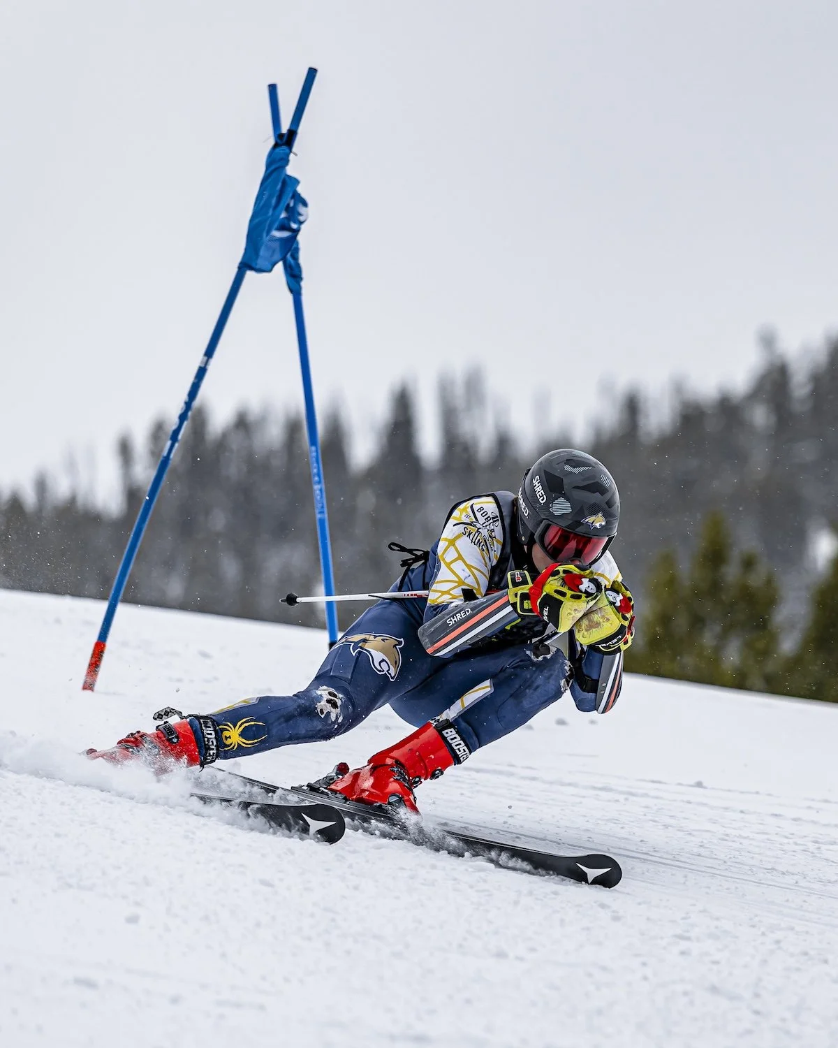 A young skier in racing gear, wearing a black helmet and goggles, navigates a turn on a snowy slope during a race, with a blue gate flag in the background.