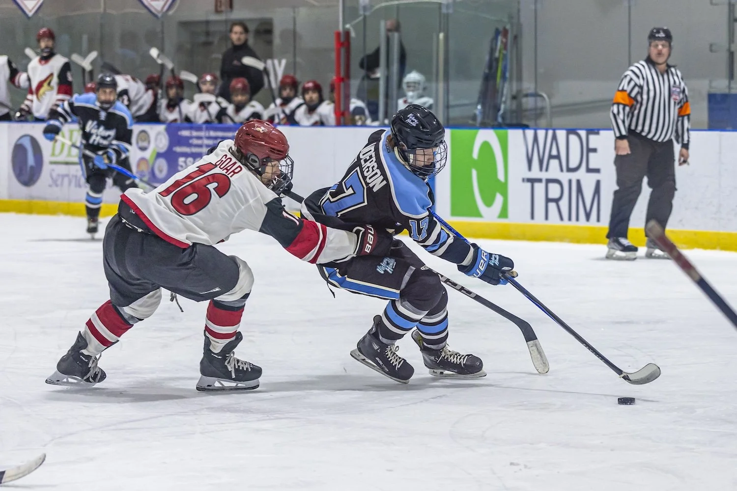 Two ice hockey players competing for the puck on the ice rink, with a referee and other players in the background.