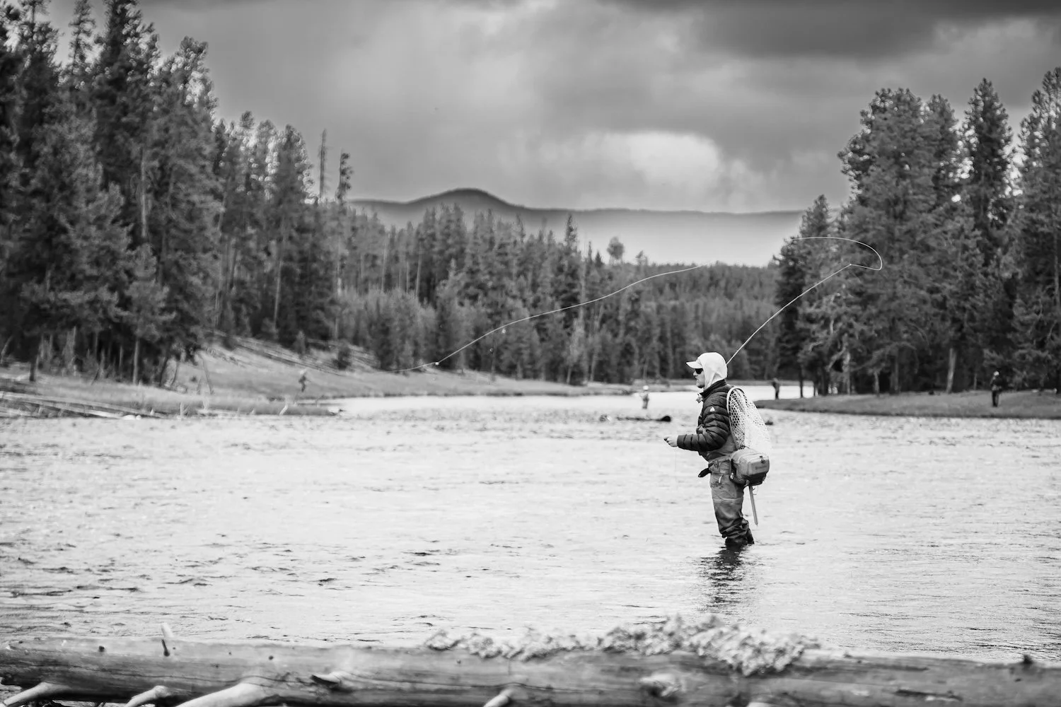 Person fishing in a river with trees and mountains in the background, black and white photograph. Yellowstone National Park, Wyoming, USA