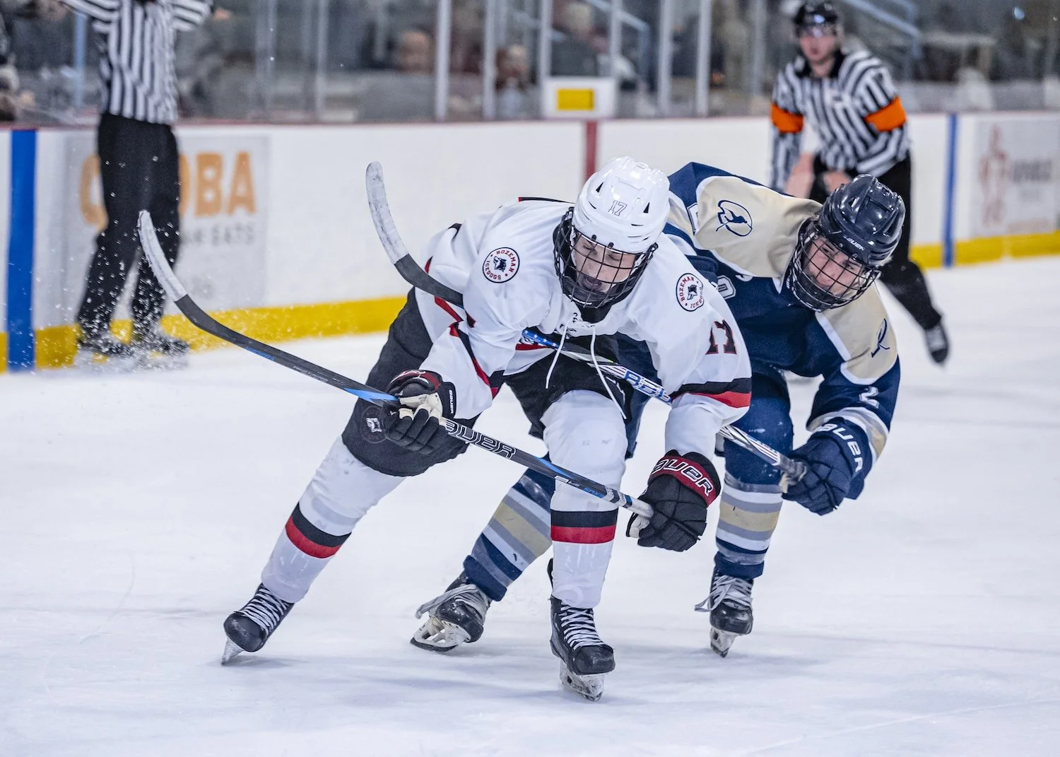 Two ice hockey players, one in a white uniform and the other in dark blue, are competing for the puck during a game. A referee is visible in the background.