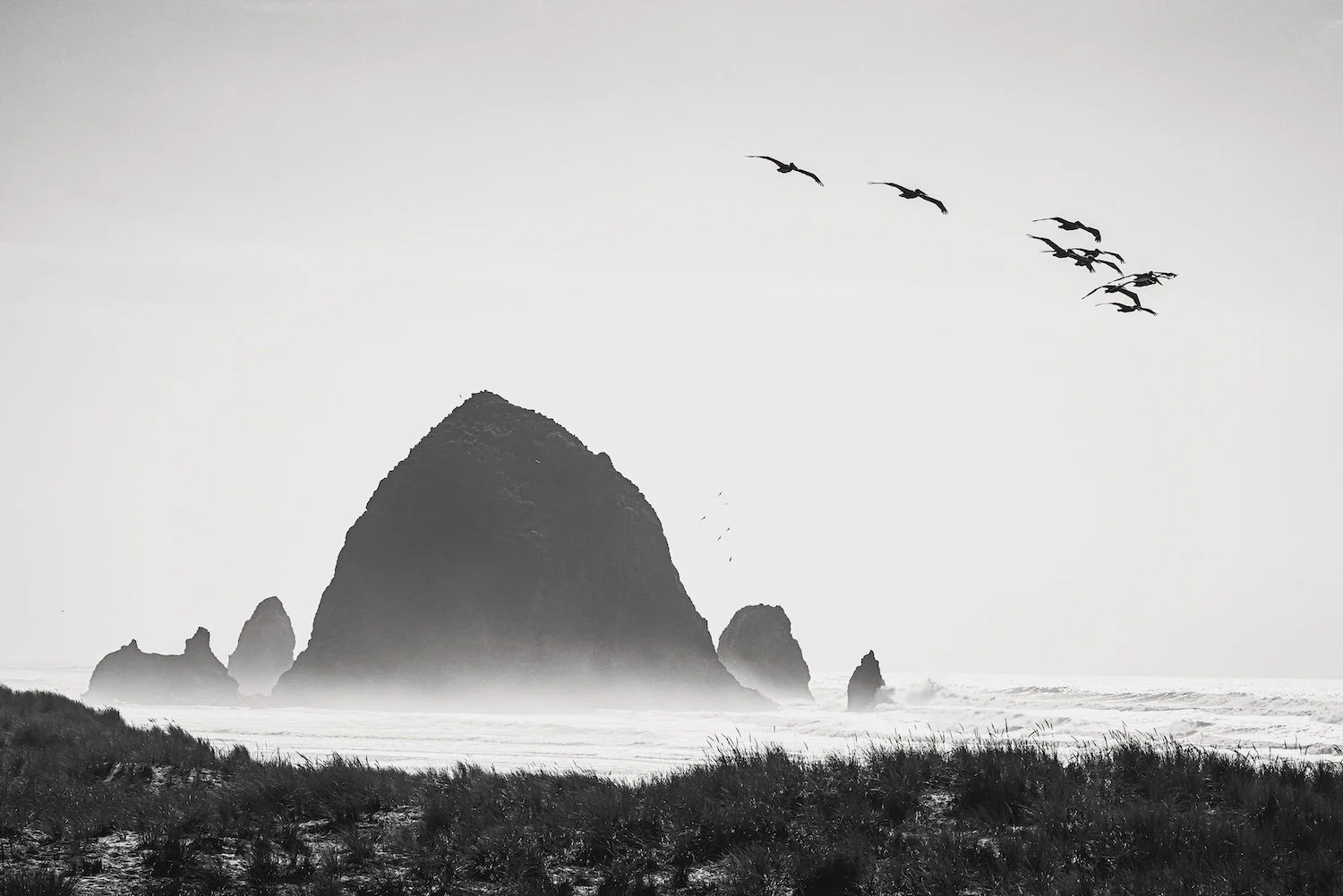 Black and white photograph of a coastline with large rock formations in the ocean, grassy dunes in the foreground, and a flock of birds flying above.