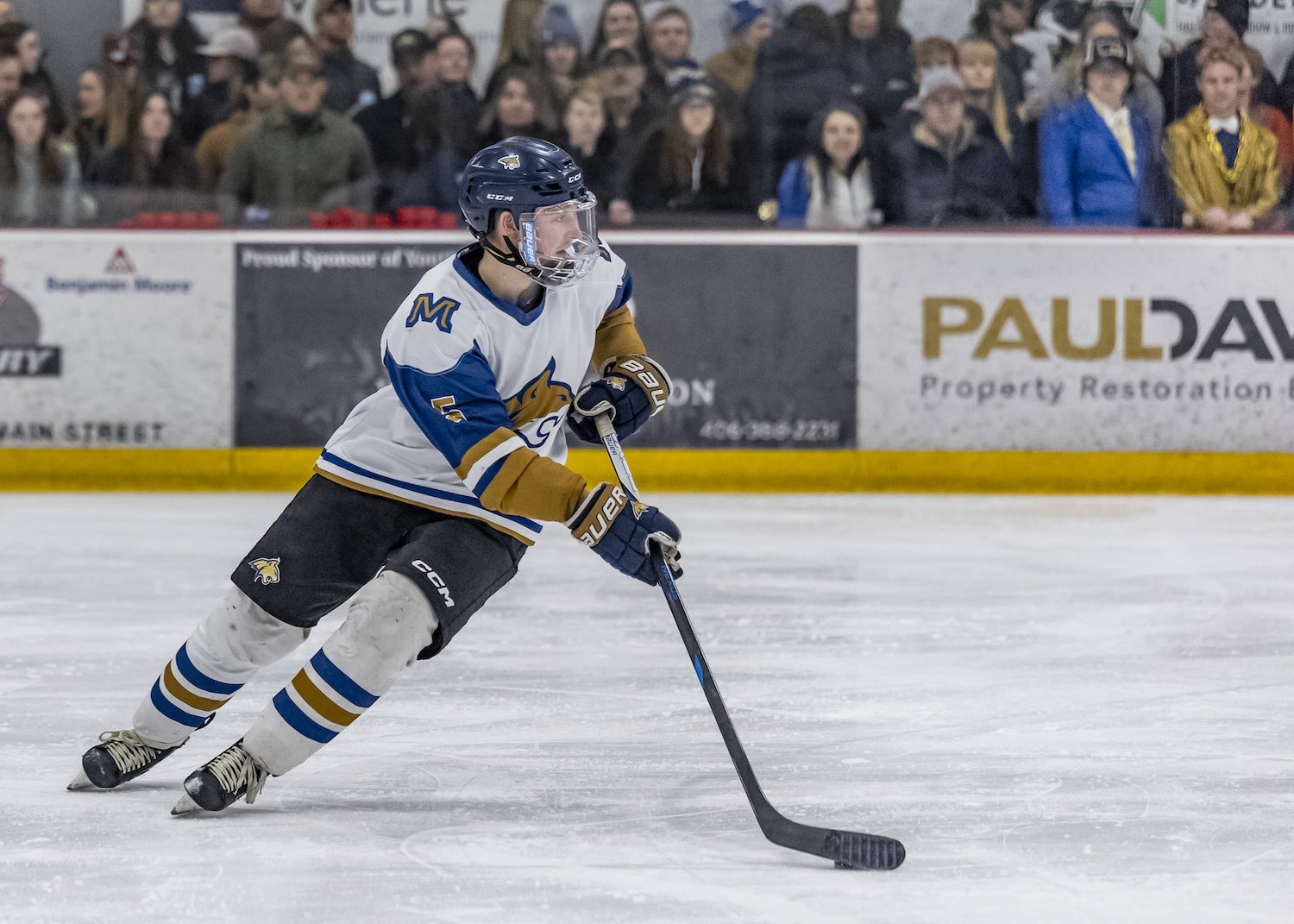 A young hockey player in a blue and white jersey with a lion logo, wearing a helmet and gloves, skating on the ice with a hockey stick during a game, with spectators watching in the background.