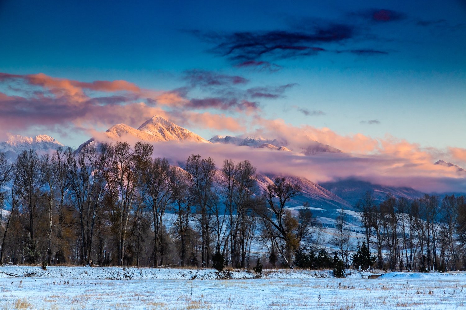 Snow-capped mountains with pink and purple clouds at sunrise, trees in the foreground with snow-covered fields. Livingston, Montana