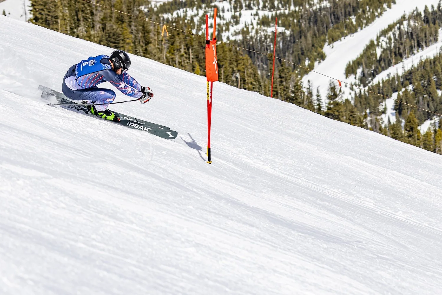 A skier in a blue, purple, and white uniform skis down a snowy slope, navigating around orange slalom gates with a wooded mountain in the background.