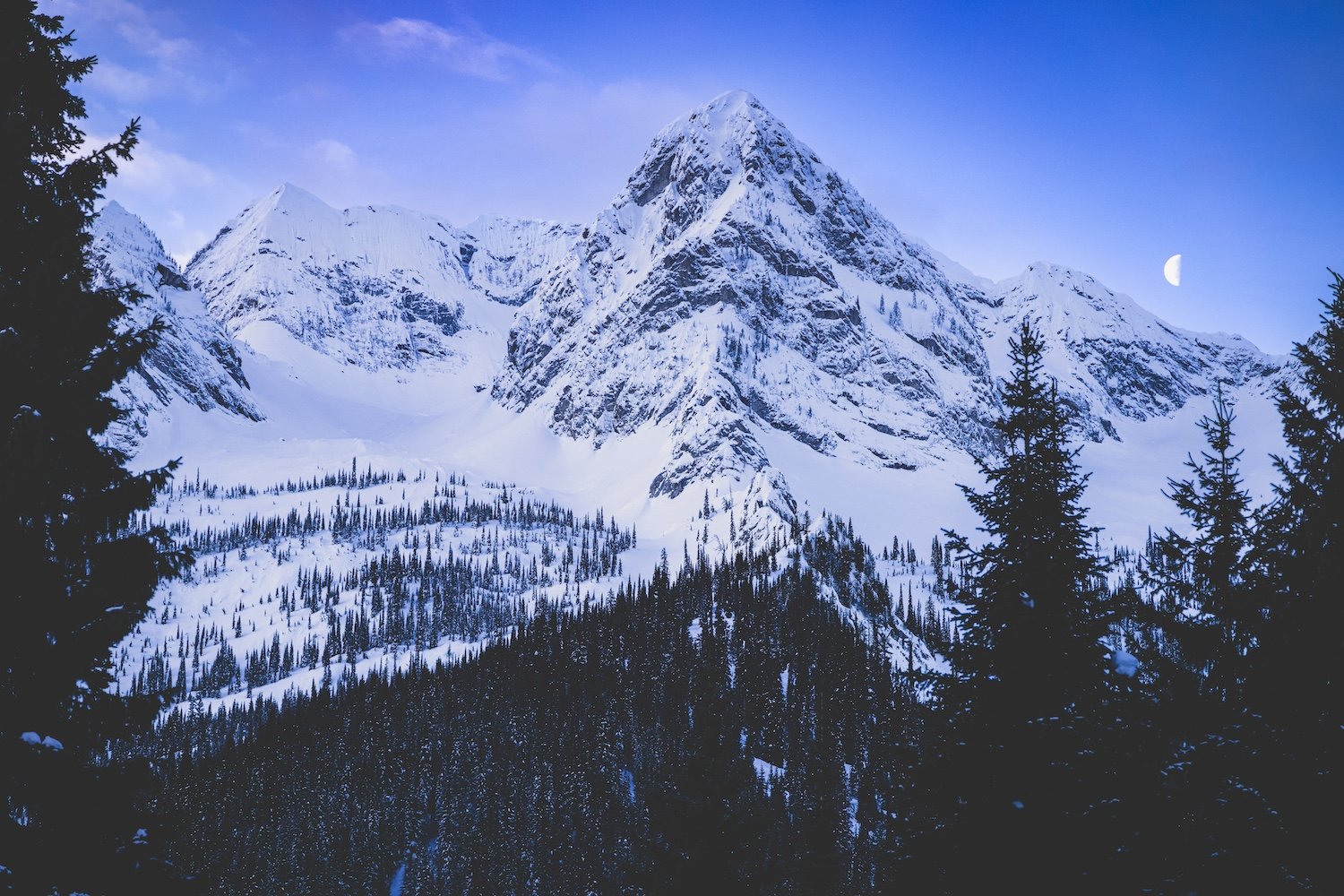 Snow-covered mountain range with pine trees in the foreground and a clear blue sky with a visible moon. Island Lake Lodge. Fernie, British Columbia, Canada