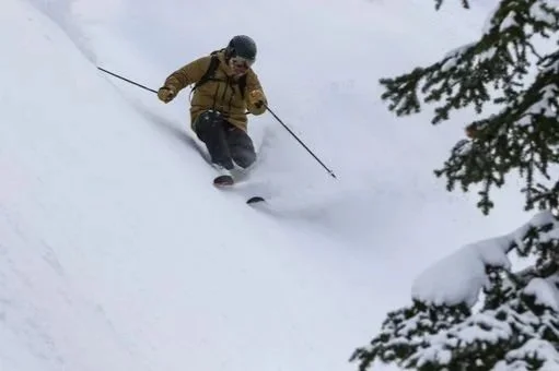 Person skiing downhill through deep snow, wearing a brown jacket, black helmet, and goggles, surrounded by snow-covered trees.