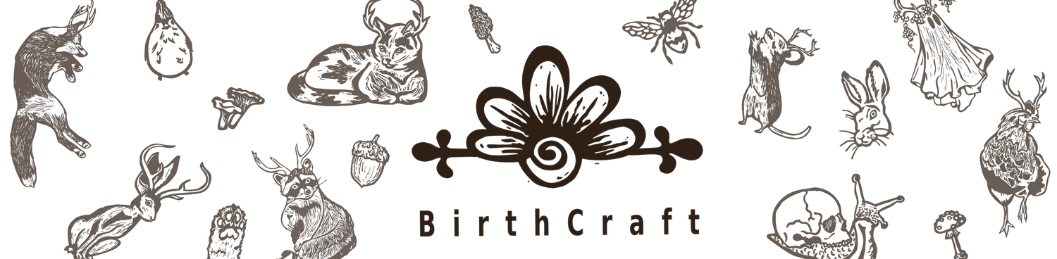 BirthCraft