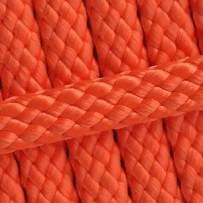 Neon Orange.webp