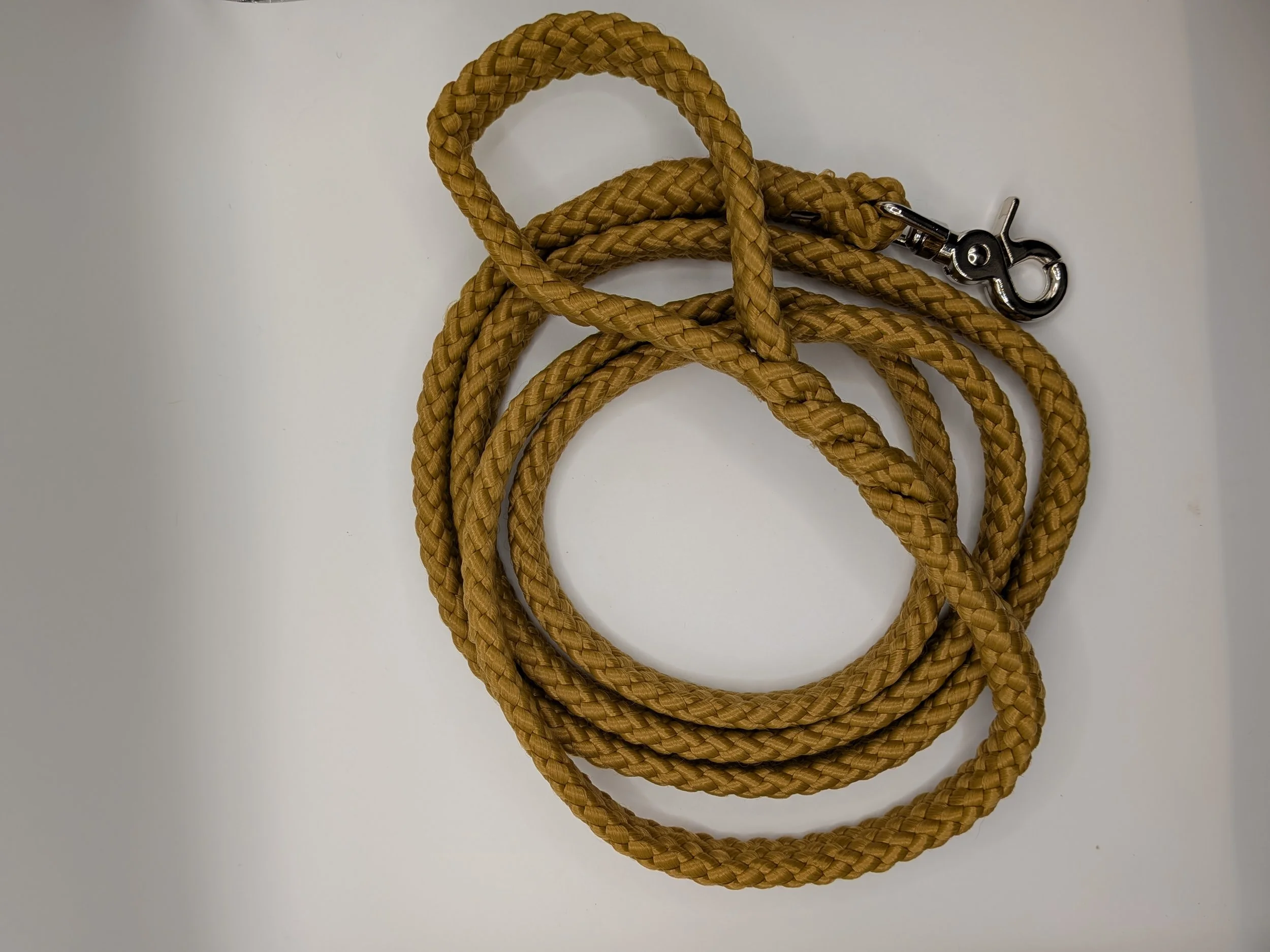 PXL_20260429_145347297.jpg